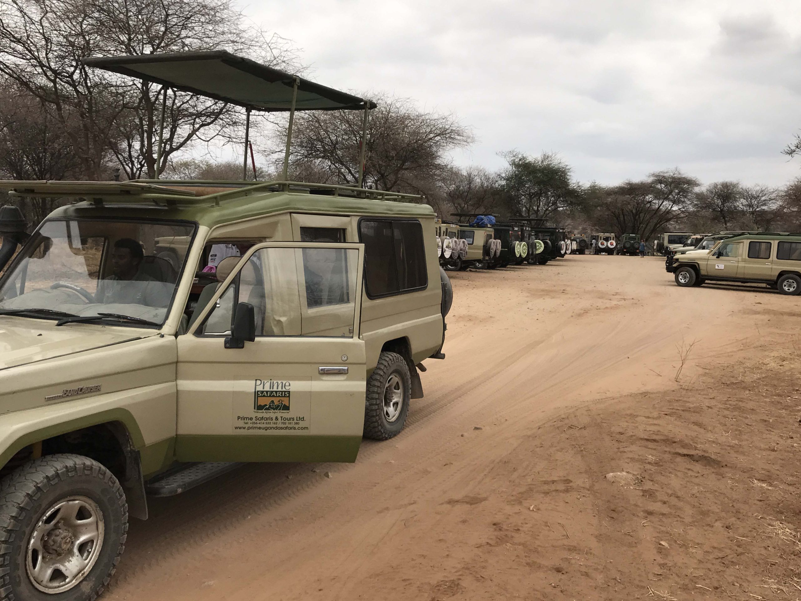 Gorilla Trekking Companies in Uganda, Rwanda and Congo