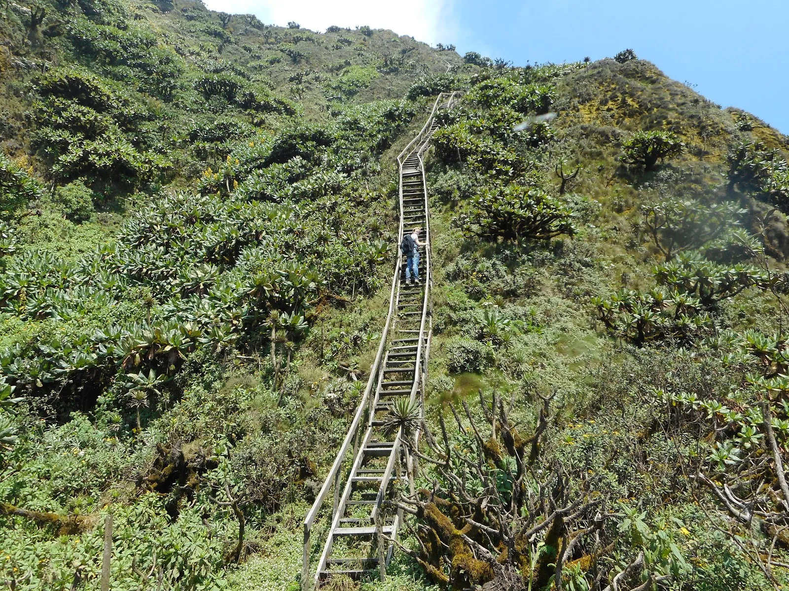 Hiking and nature walks in Maghinga National Park