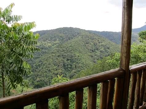 Budget Gorilla Trekking Tours