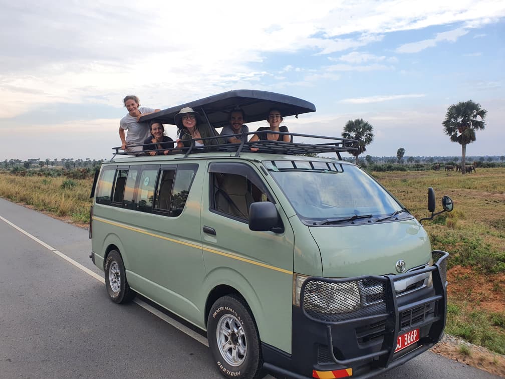 Affordable Gorilla Trekking Safaris